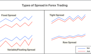 Spread Broker Forex 2024