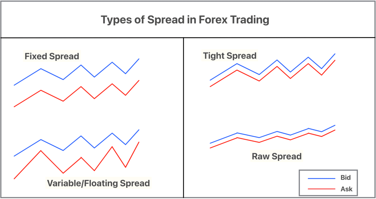 Spread Broker Forex 2024