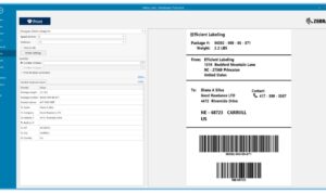 Software Zebra Designer 2024