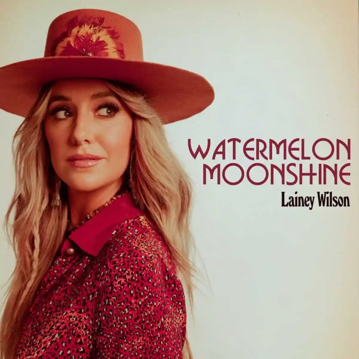 COUNTRY GIRL: Lainey Wilson - SPIN