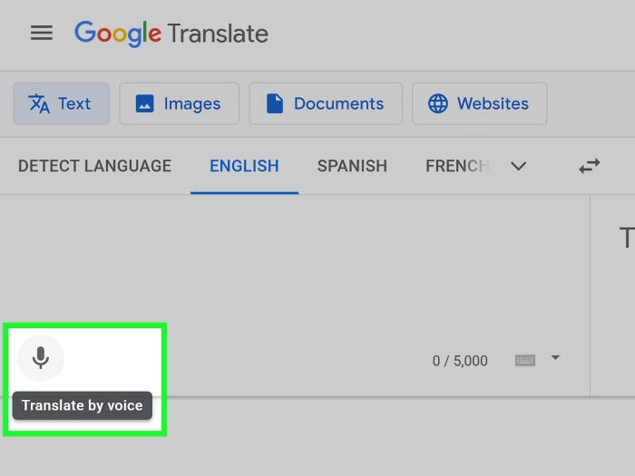 A google translate english 2024