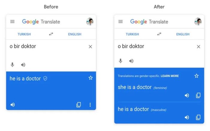 N'oublie jamais google translate 2024