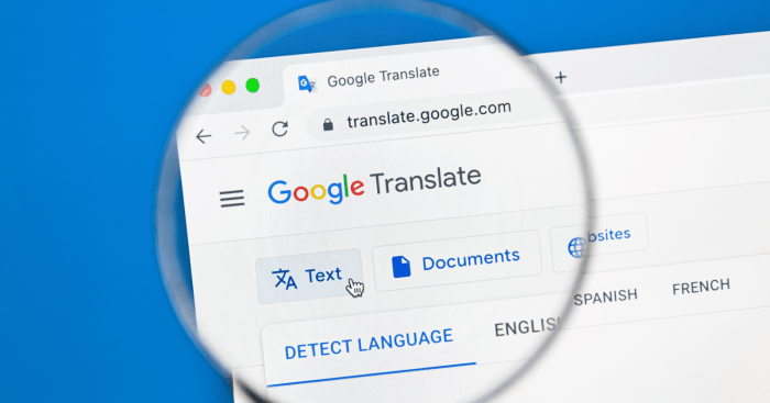 Google translate e2 b 2024