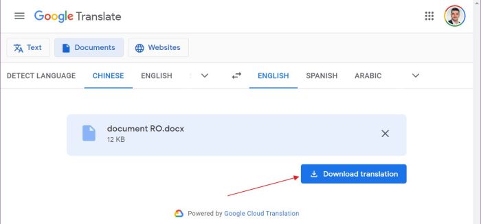 Google translate docs 2024