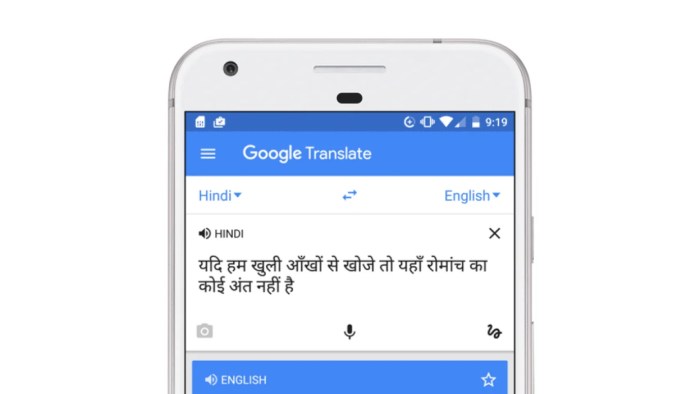 Google translate hindi 2024