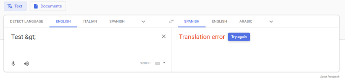 E-807 google translate 2024