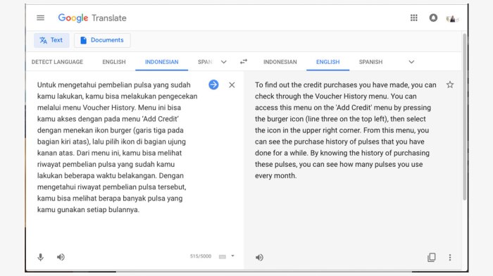 Google translate indonesia jawa 2024